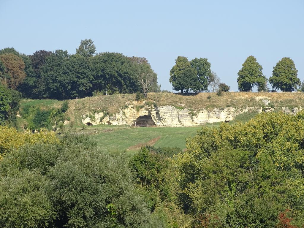 Paedshof