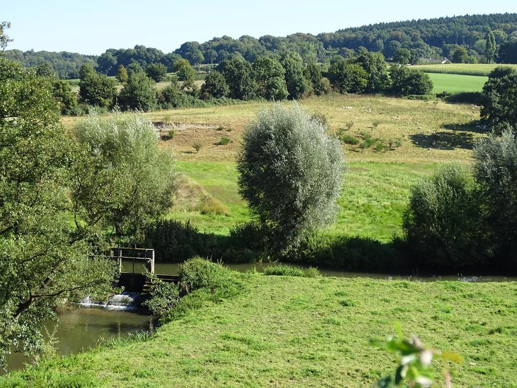 Paedshof
