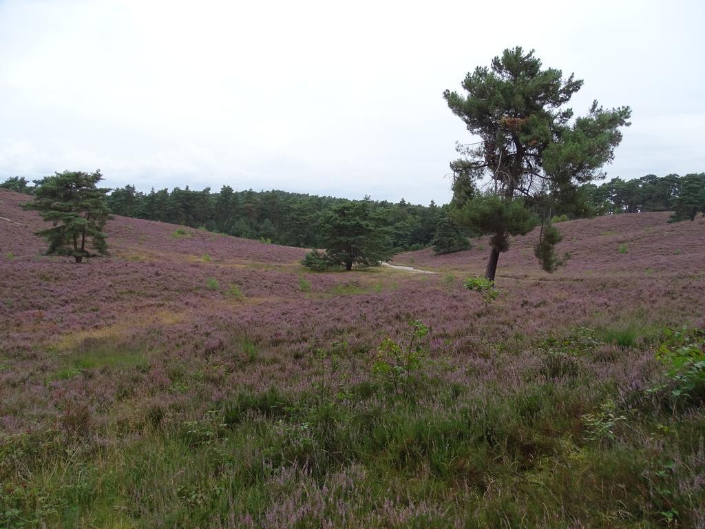 Holiday home Paedshof Ransdaal